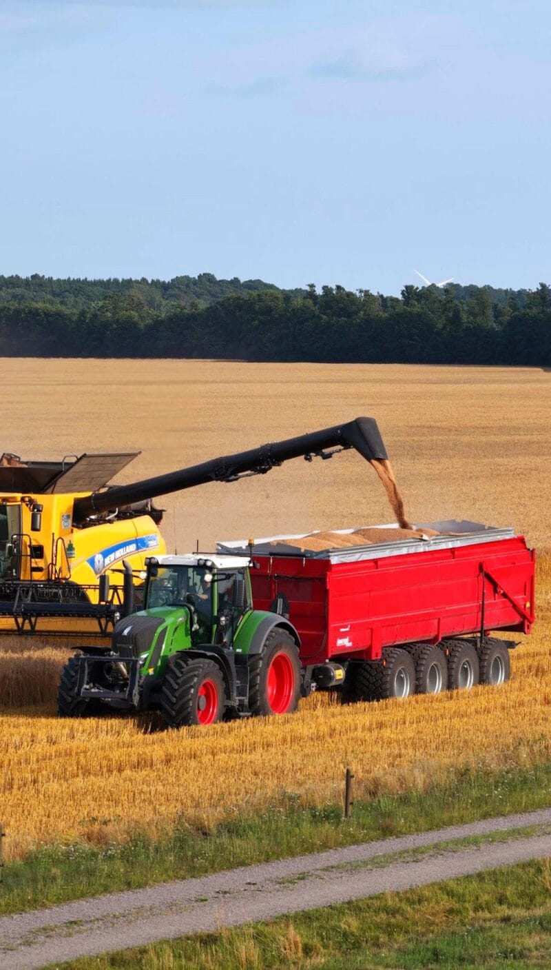 MQ95 Field L9500 H1500 W2550 33 m³ - Image 5